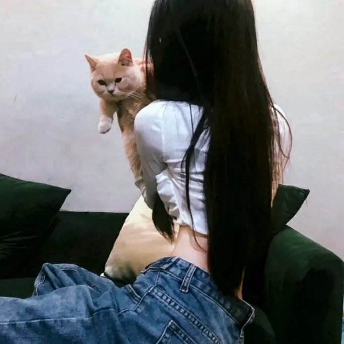 天盛长歌